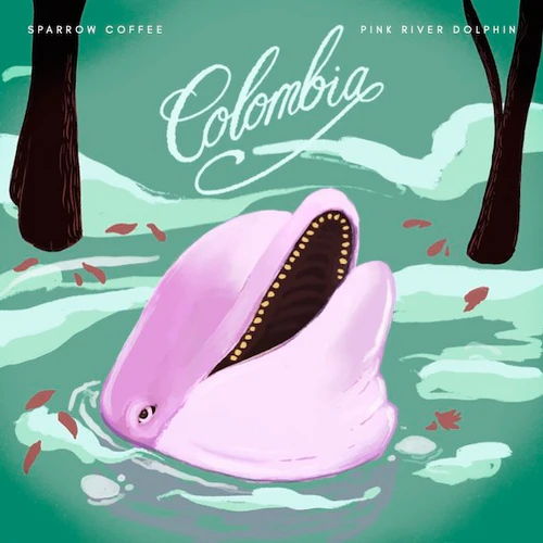 Illustrated artwork for Colombia Los Hermanos White Honey coffee by Sparrow Coffee featuring a pink river dolphin in water