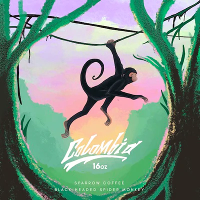 Illustrated artwork for Colombian Arino Inga coffee by Sparrow Coffee featuring a black-headed spider monkey in a jungle setting
