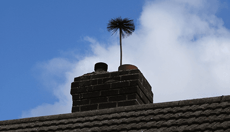 Chimney sweep brush extending from a brick chimney for chimney cleaning, chimney repair, and tuckpointing services in the Naperville area.