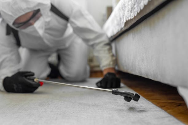 Pest control technician applying treatment under a bed in a Naperville, Illinois home for pest prevention.