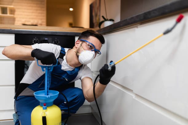 Aaren Pest Control technician applying interior pest treatment along a wall inside a Naperville, Illinois home.
