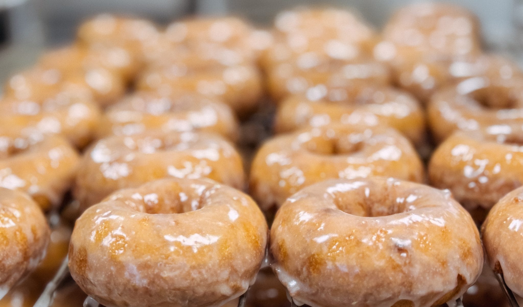 Rows of frosted apple cider donuts at Bengtson's Pumpkin Farm