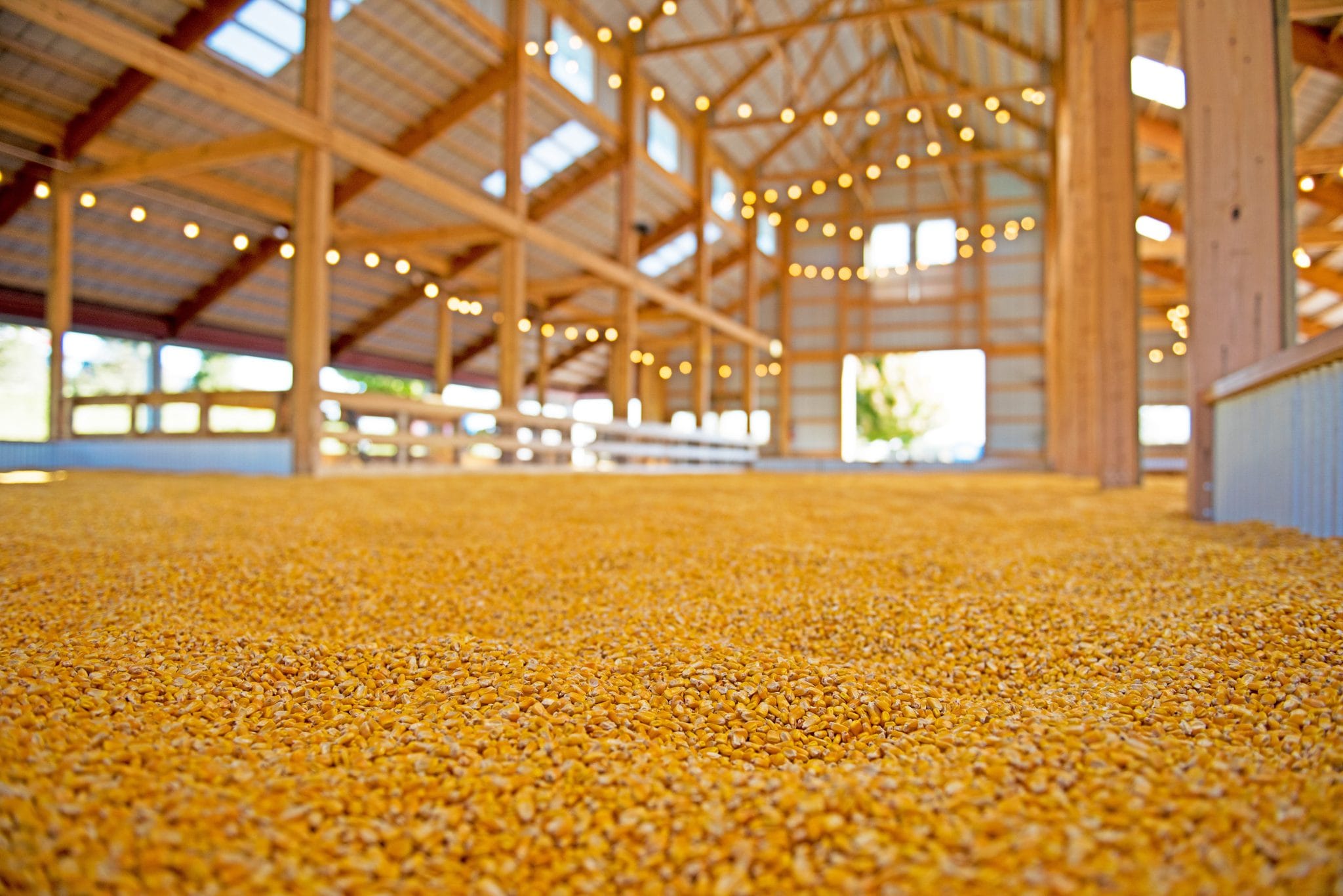 The giant corn box barn at Bengtson's Pumpkin Farm Fall Fest