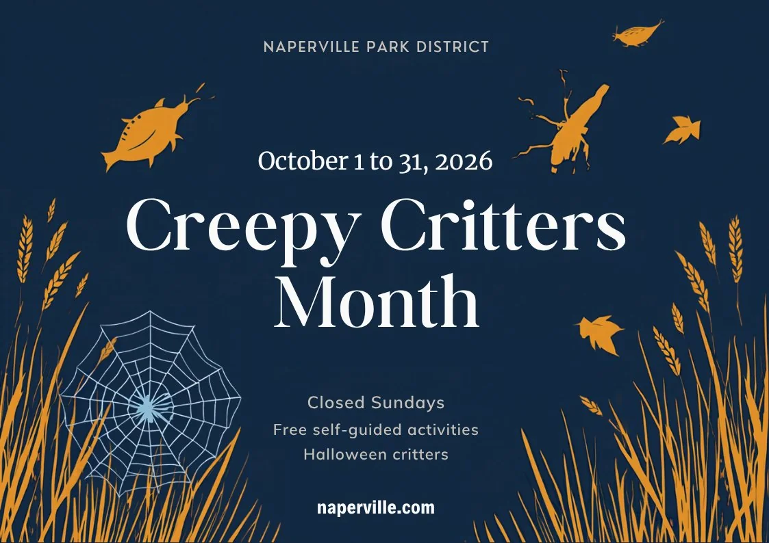 Featured image for “Creepy Critters Month at Knoch Knolls Nature Center”