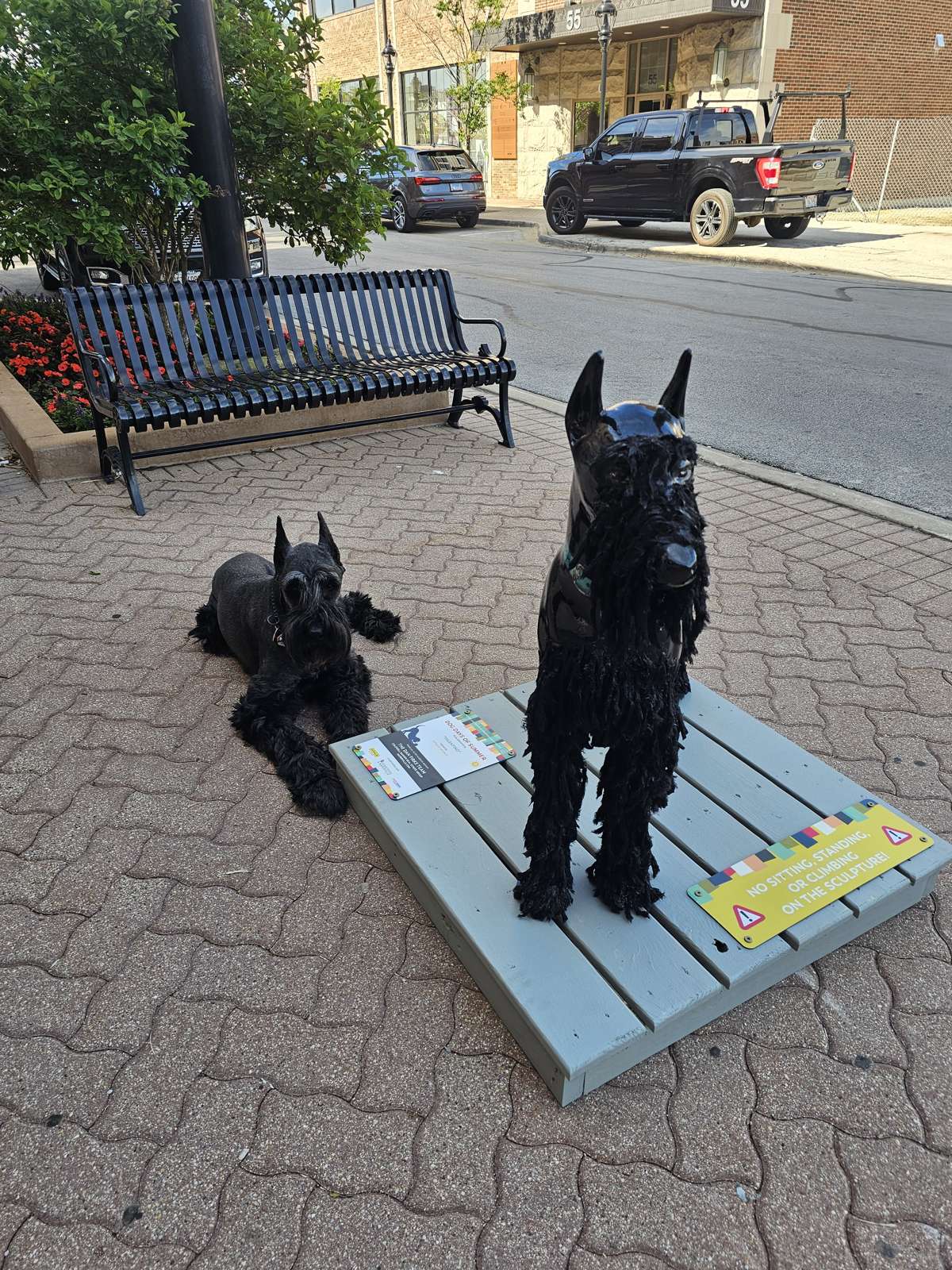 Featured image for “How to Vote for Your Favorite Dog Sculpture in Downtown Naperville”