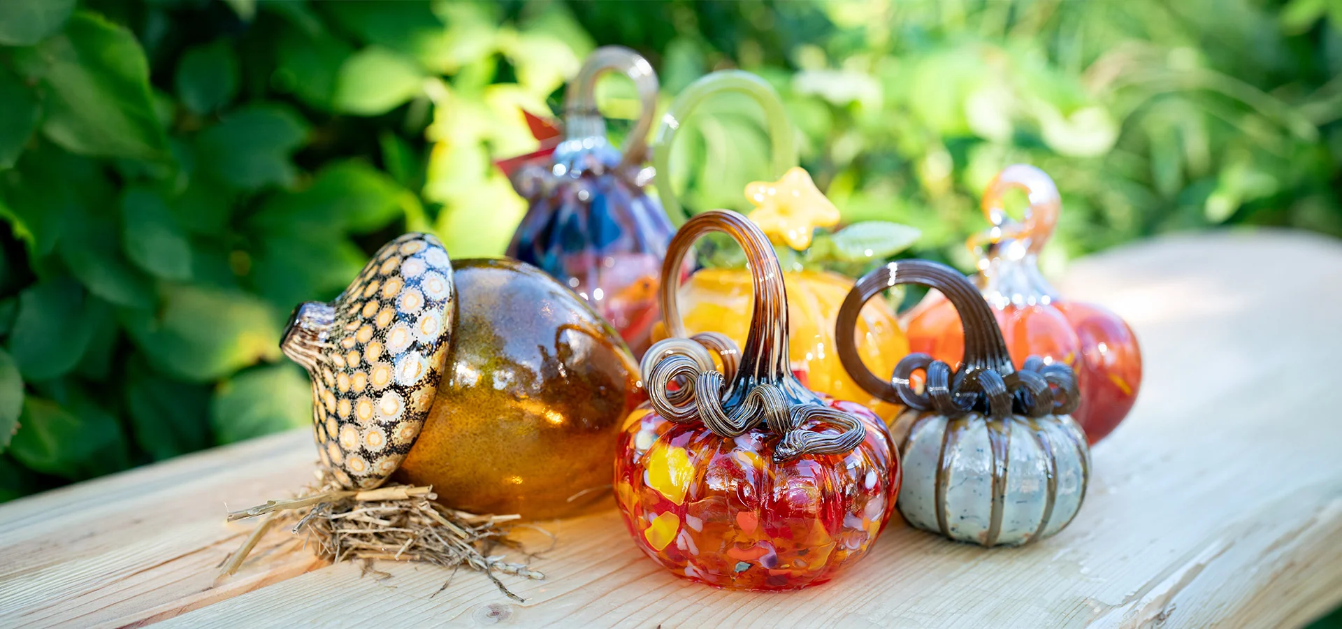 Featured image for “Glass Pumpkin Patch at The Morton Arboretum”