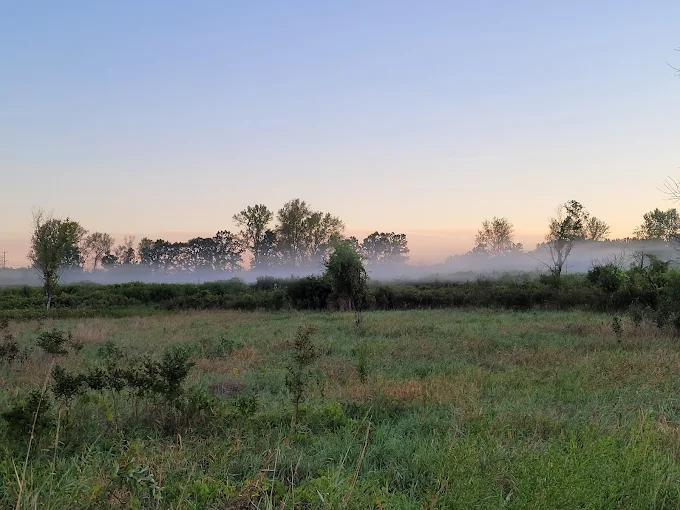 Misty prairie landscape at Greene Valley in Naperville, Illinois with open meadow, trees, and soft morning light.