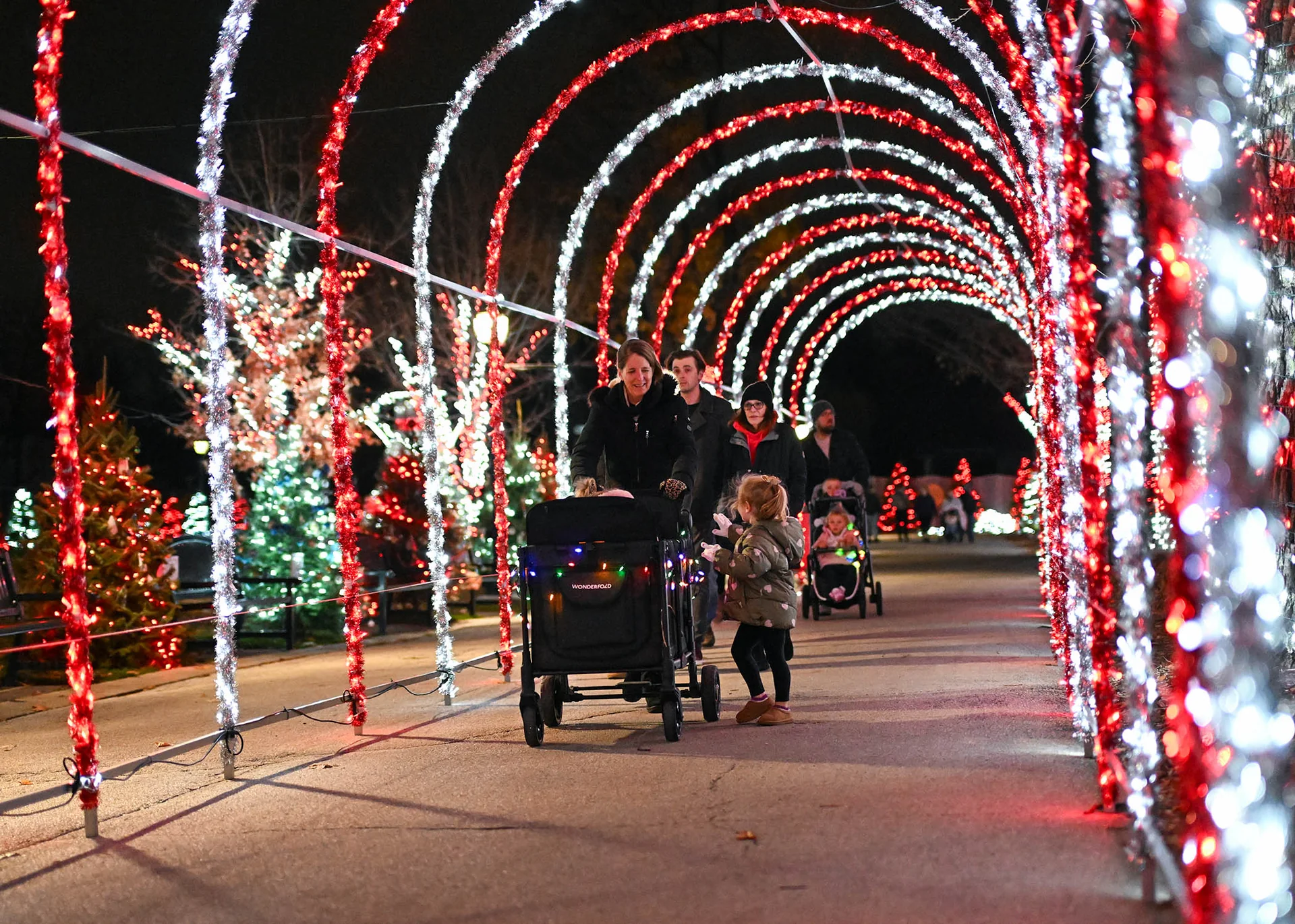 Holiday Magic at Brookfield Zoo Chicago, event in Naperville, IL