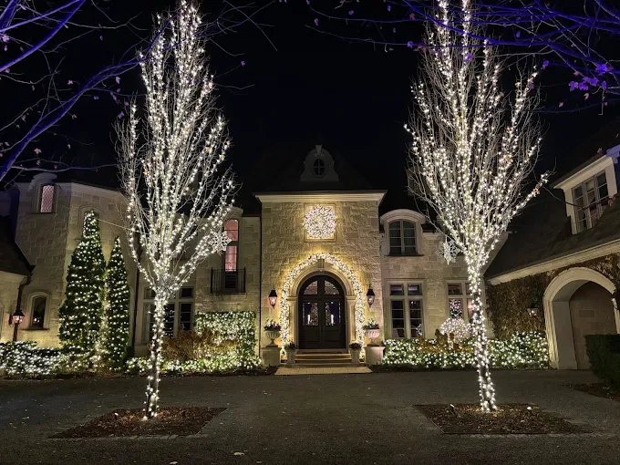 Lightville holiday home display in Naperville with white Christmas lights on trees, entrance, shrubs, and front landscaping.