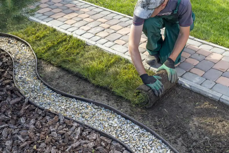 Landscaper installing sod beside a paver walkway and garden bed for Martins Express Landscaping in Naperville.