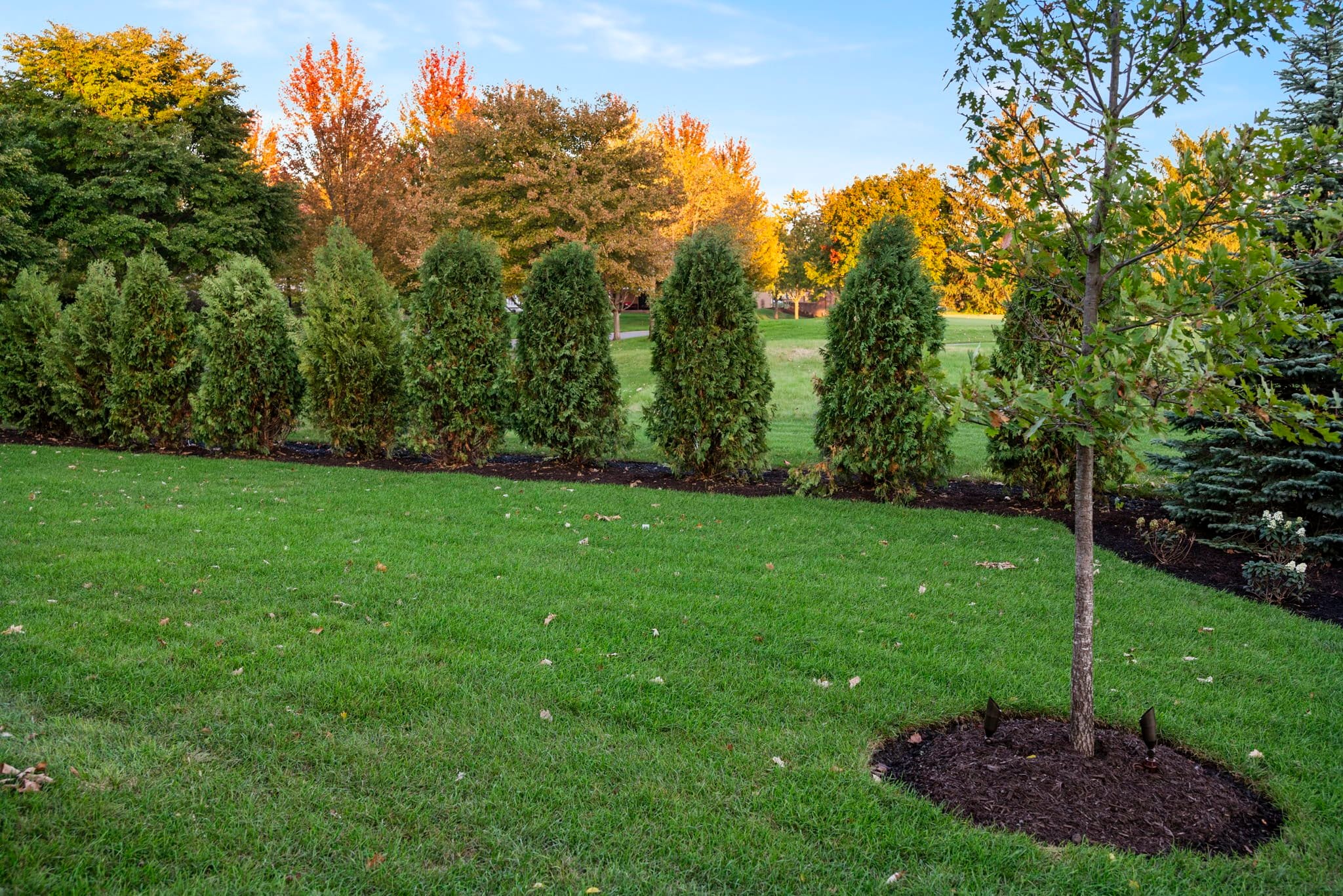 Montano's Landscaping in Naperville - featured photo