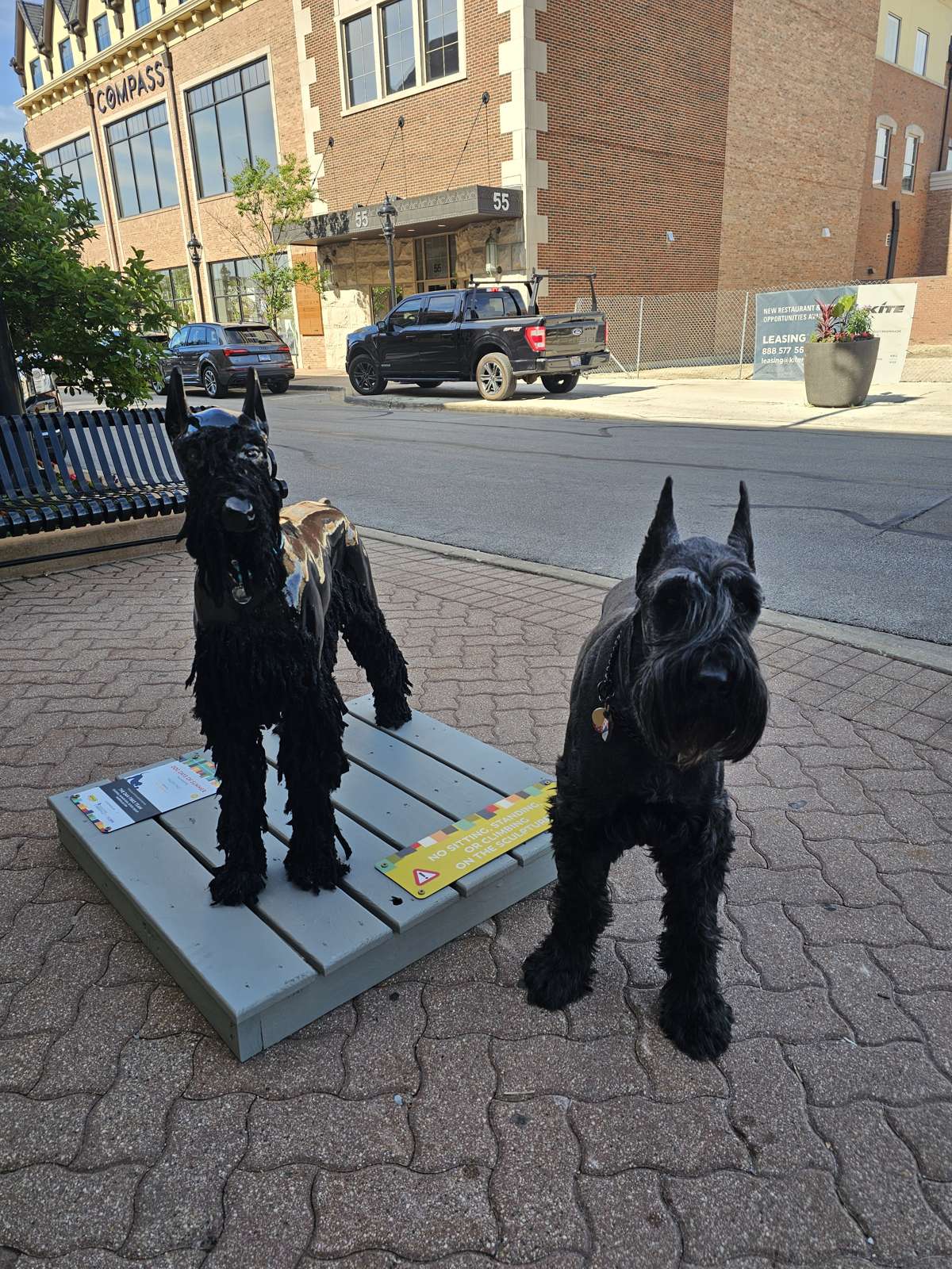 Featured image for “The Downtown Naperville Dog Sculpture Walk: Map and All 24 Sculptures”