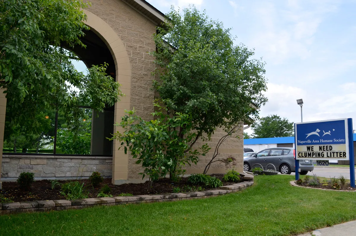 Exterior of Naperville Area Humane Society building and sign in Naperville, Illinois, local nonprofit and community resource for Naperville families and pet adoption awareness