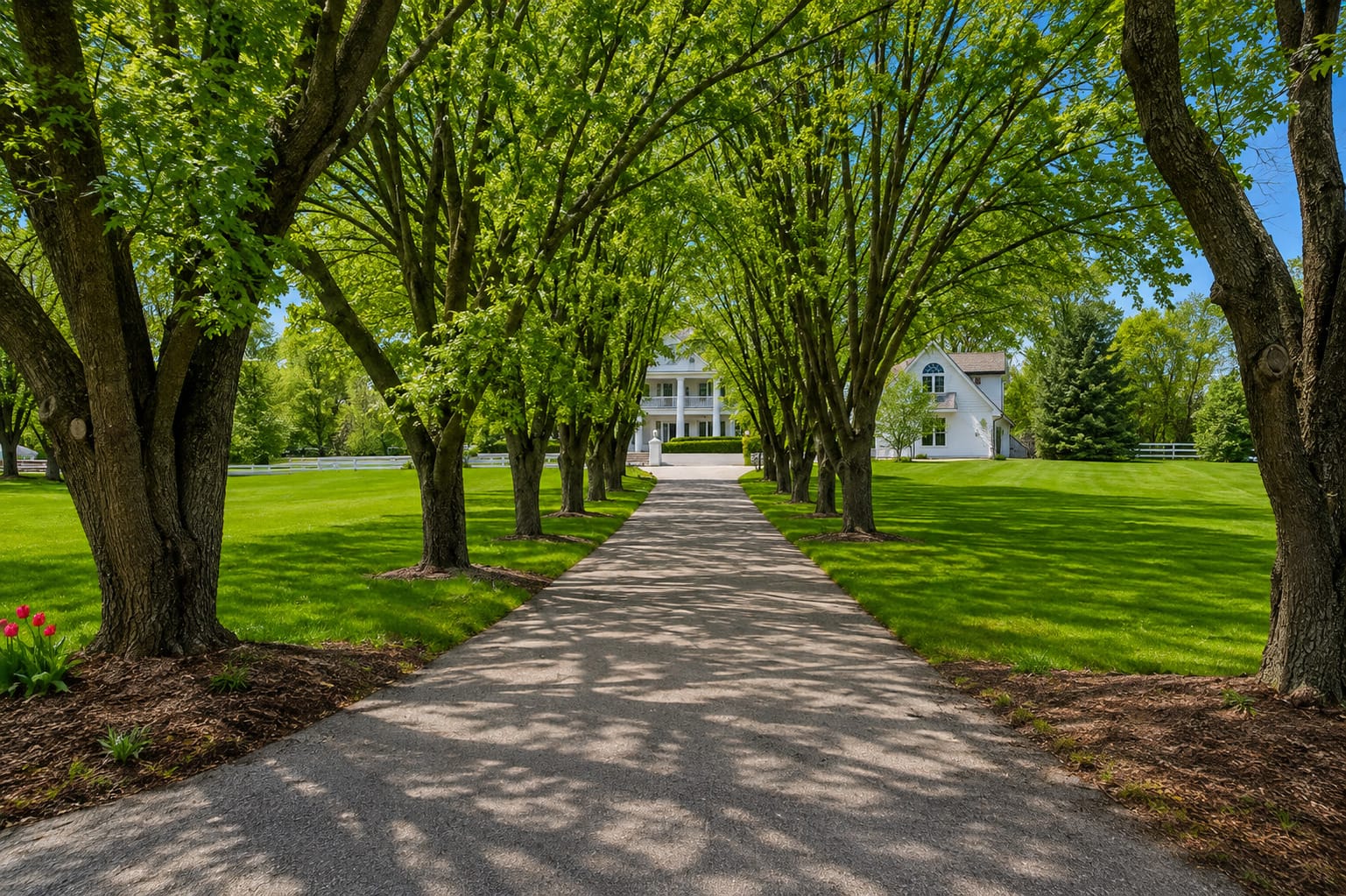 Naperville Luxury Home for Sale: 23W735 Hobson Road, a 2.65-Acre Estate with Indoor Pool and Tennis Courts 2 Tree lined driveway leading to the Naperville luxury home at 23W735 Hobson Rd