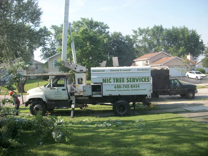 NIC Tree Services bucket truck and crew working on residential tree care in a Naperville neighborhood.