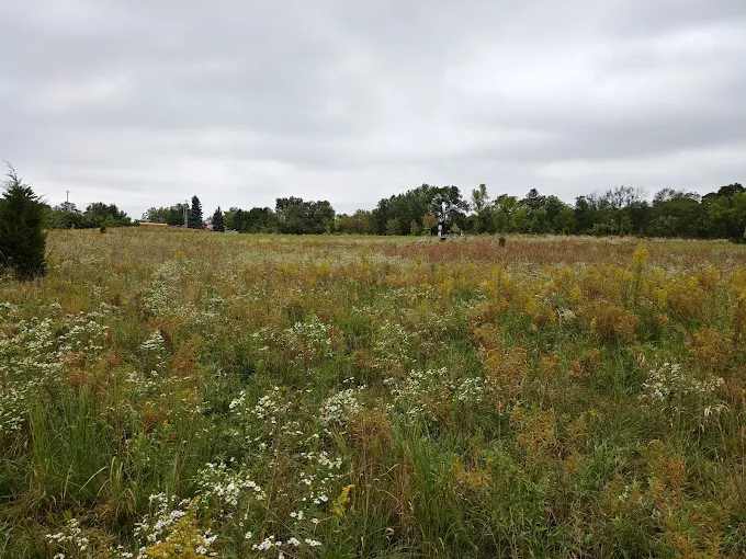 Open prairie at Oldfield Oaks Dog Park near Naperville, Illinois with wildflowers, native grasses, and cloudy sky.