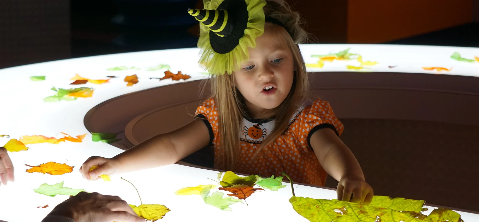 Featured image for “Pumpkin Palooza at DuPage Children’s Museum”