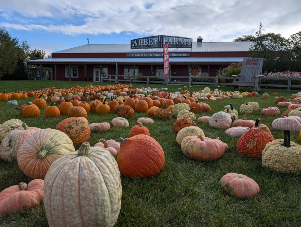Colorful pumpkins outside Abbey Farms near Naperville for Pumpkin Daze 2026