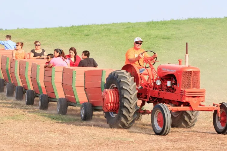 Red tractor wagon ride at Konow's Corn Maze near Naperville