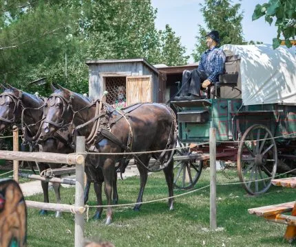 Horse-drawn wagon at Siegel's Cottonwood Farm near Naperville in fall