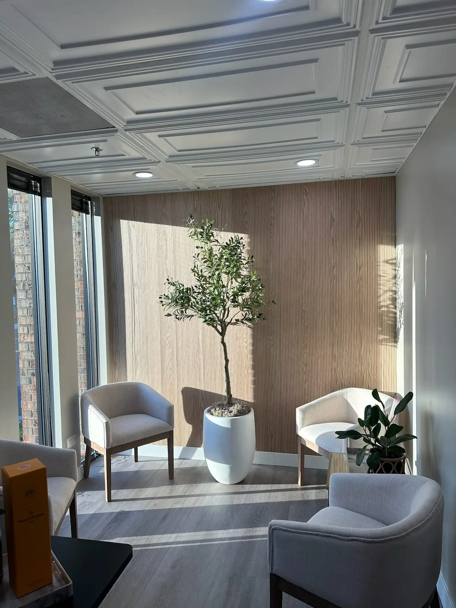 Spa Lane waiting area in Naperville, Illinois, featuring modern seating, natural light, and a calm wellness environment for local beauty and self care services