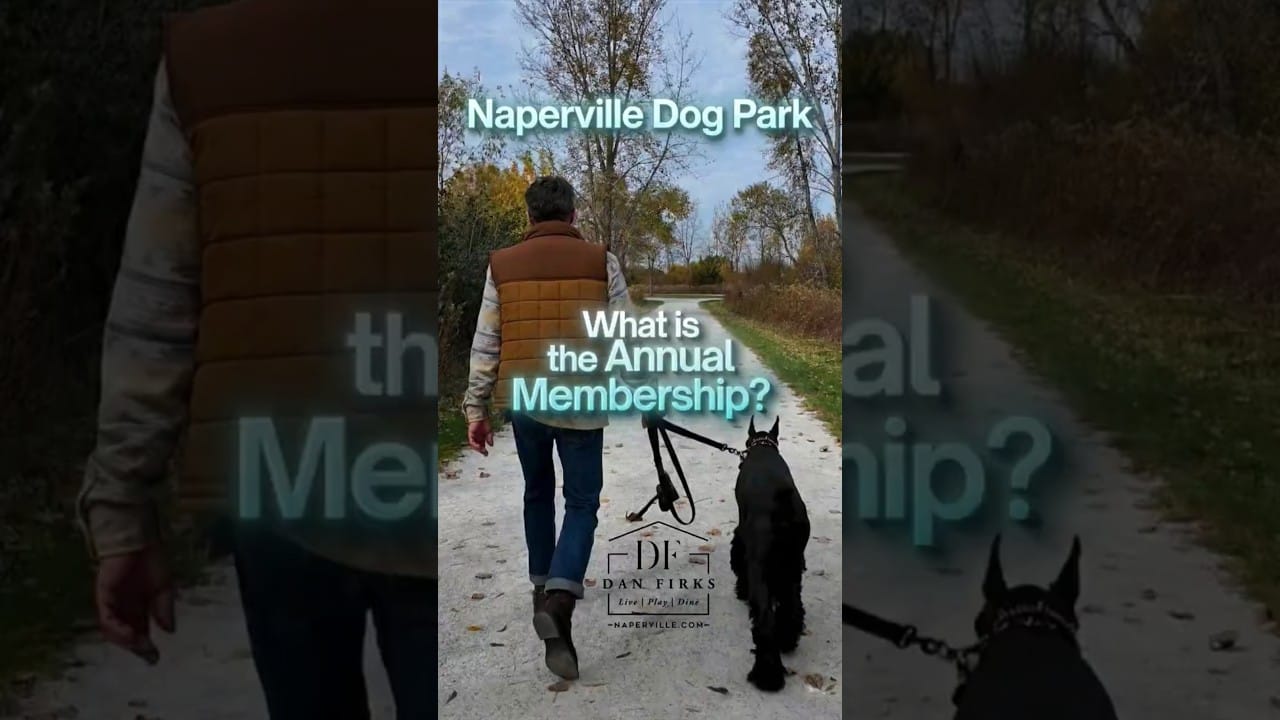 Naperville 56 Featured Image for “Watch: Springbrook Prairie Dog Park Permit Costs and Veteran Perks”