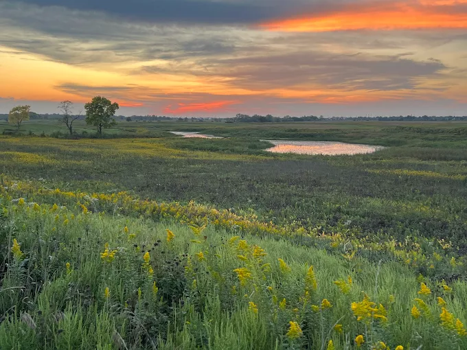 Sunset over Springbrook Prairie in Naperville, Illinois with open wetlands, prairie grasses, and wildflowers.