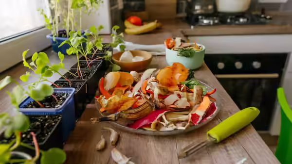 2024 Home Tech: Enhance Your Naperville Home with Wireless TV and Nest 2 Kitchen food waste reduction system in a sustainable Naperville home