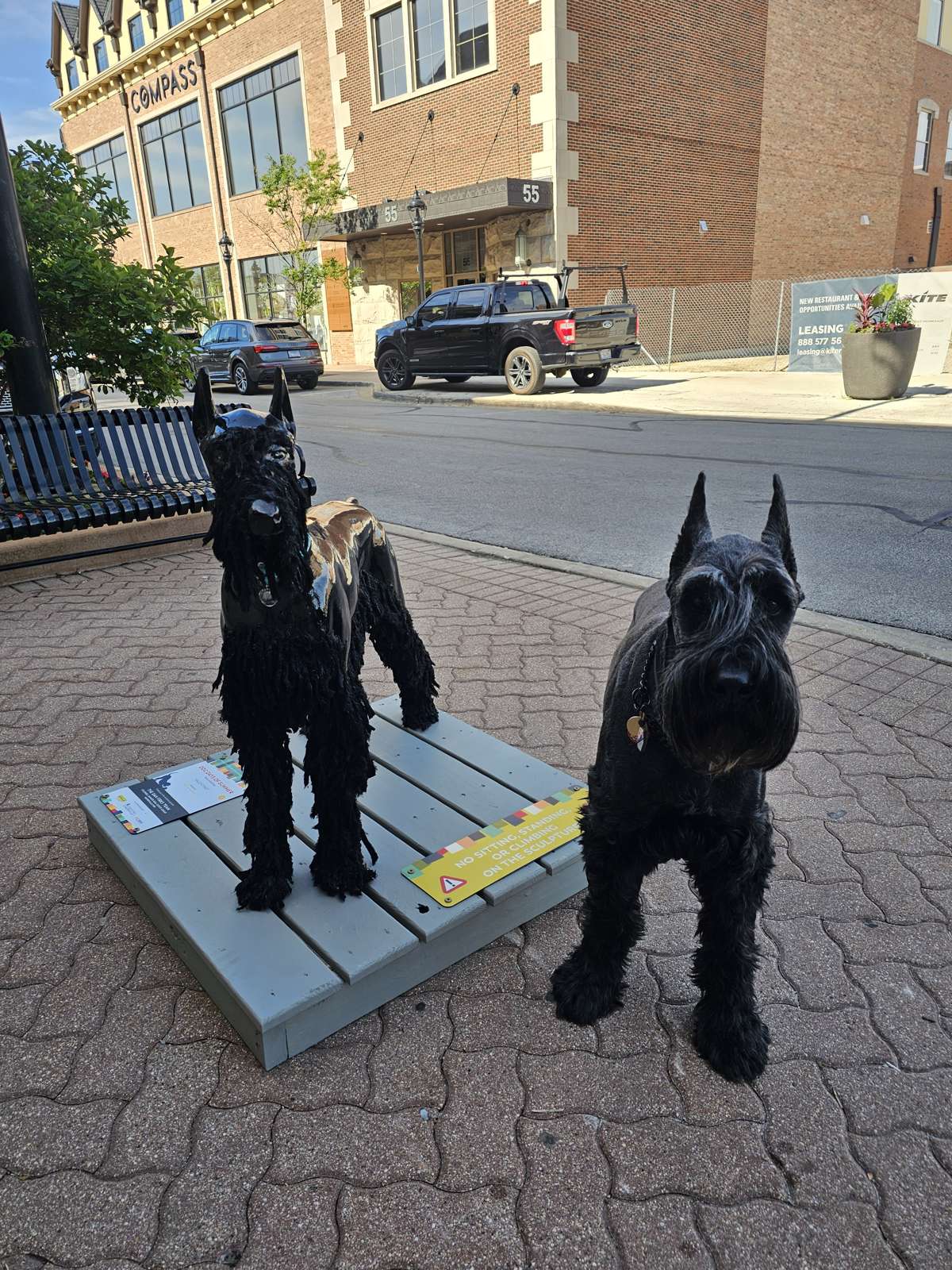 Featured image for “Dog Days of Summer Naperville 2026: The Downtown Dog Sculpture Walk”