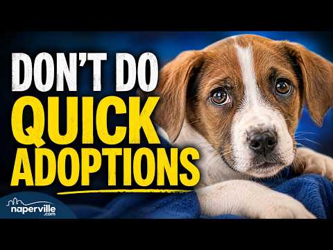 Featured Image for “Watch: A Tour of the Naperville Area Humane Society with Christine Natarelli”