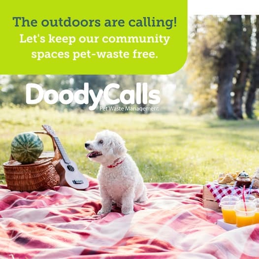 Dog relaxing outdoors in a Naperville community featured in a DoodyCalls Chicagoland pet waste management campaign.