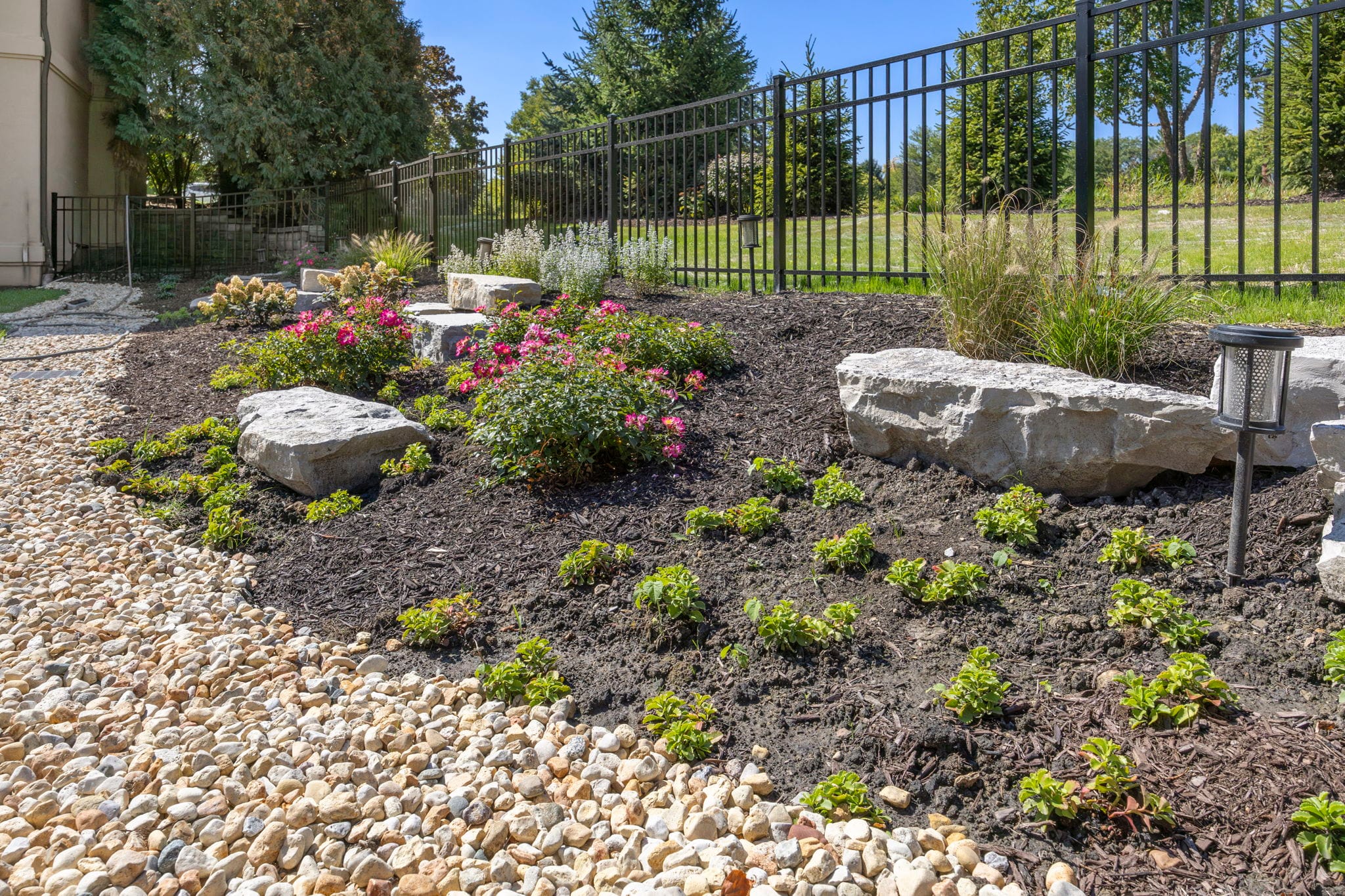 Naturalistic planting bed with limestone boulders, knockout roses, and a decorative river-rock drainage border